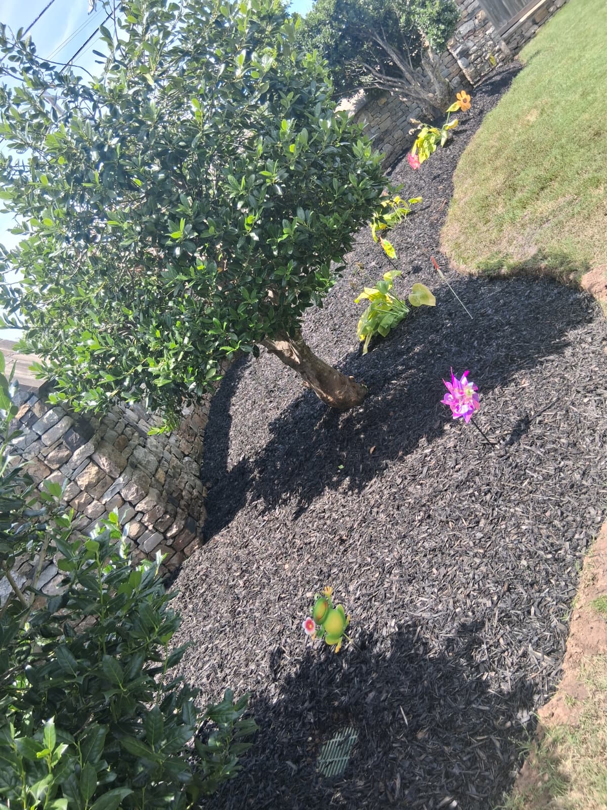 New Garden Installation